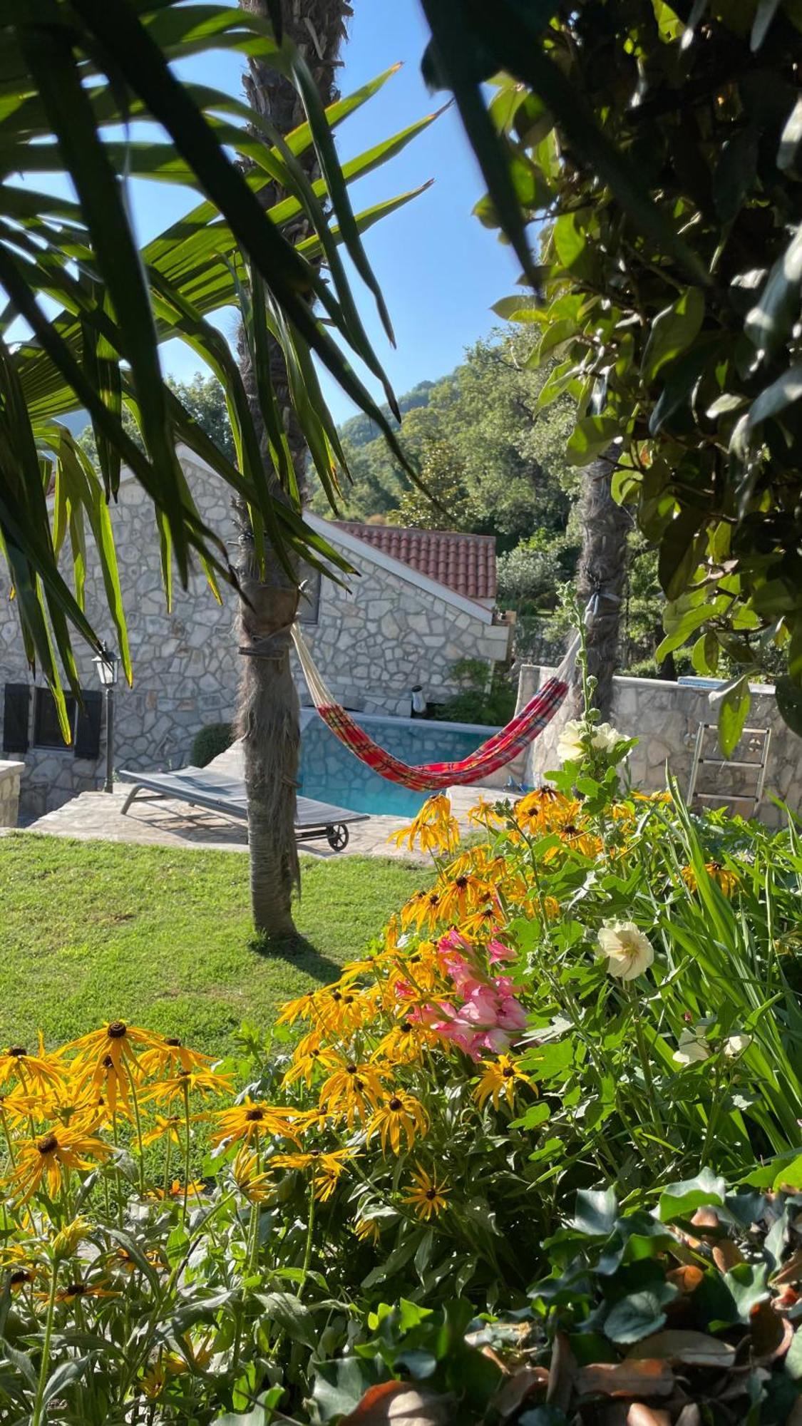 House In The Mountains Near Budva Extérieur photo